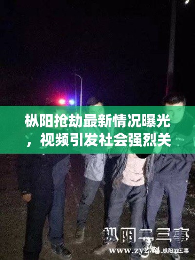 枞阳抢劫最新情况曝光,视频引发社会强烈关注