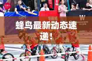 蜂鸟最新动态速递!