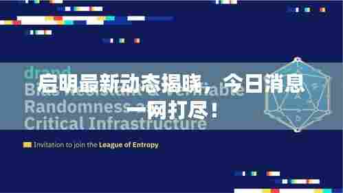 启明最新动态揭晓，今日消息一网打尽！