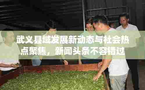 武义县域发展新动态与社会热点聚焦,新闻头条不容错过