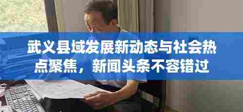 武义县域发展新动态与社会热点聚焦,新闻头条不容错过
