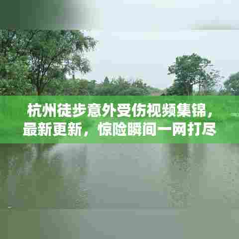 杭州徒步意外受伤视频集锦，最新更新，惊险瞬间一网打尽！