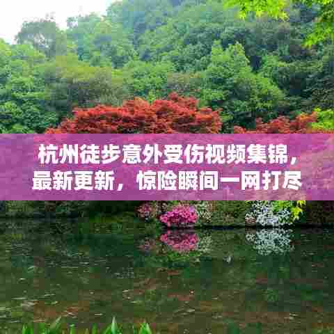 杭州徒步意外受伤视频集锦,最新更新,惊险瞬间一网打尽!