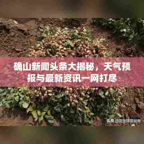 飞檐走壁 第3页