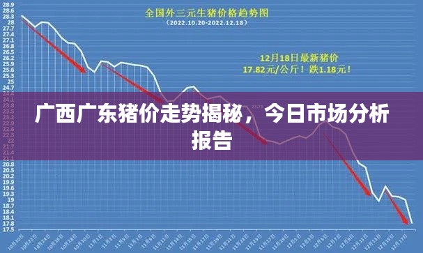 广西广东猪价走势揭秘,今日市场分析报告