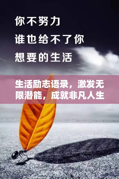 生活励志语录,激发无限潜能,成就非凡人生
