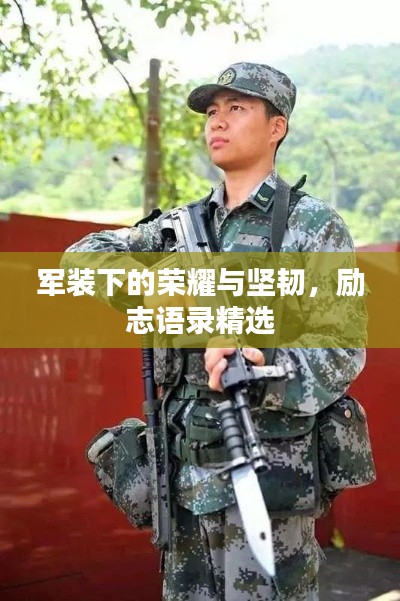 军装下的荣耀与坚韧，励志语录精选