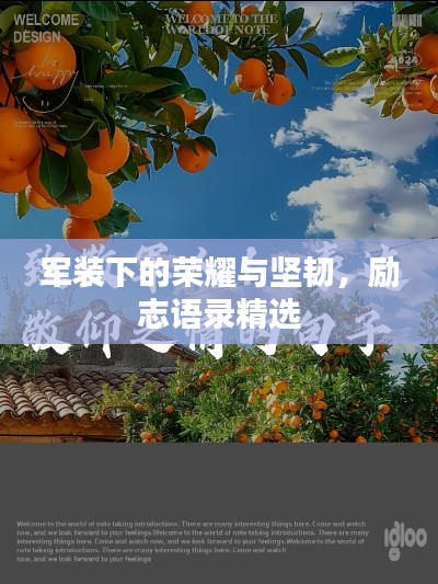 军装下的荣耀与坚韧,励志语录精选