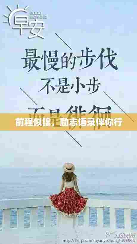 前程似锦,励志语录伴你行
