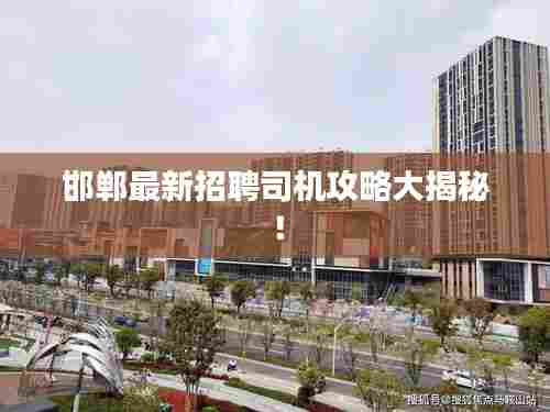 邯郸最新招聘司机攻略大揭秘！