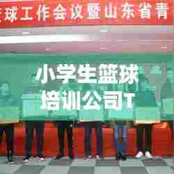 小学生篮球培训公司TOP榜,探索最佳篮球教育路径