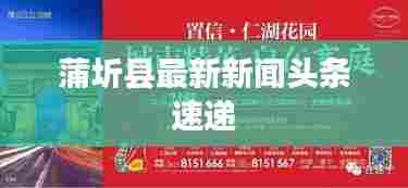 蒲圻县最新新闻头条速递