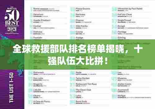 全球救援部队排名榜单揭晓,十强队伍大比拼!