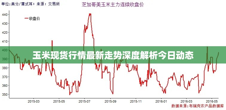 玉米现货行情最新走势深度解析今日动态