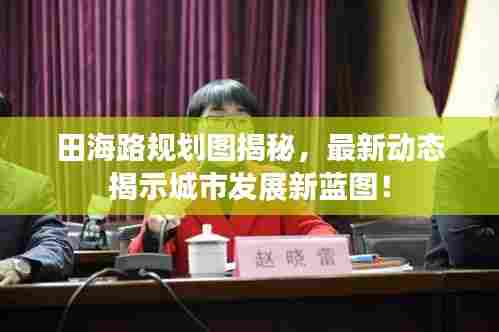 田海路规划图揭秘，最新动态揭示城市发展新蓝图！