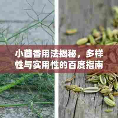 小茴香用法揭秘,多样性与实用性的百度指南