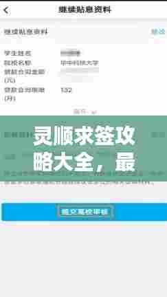 灵顺求签攻略大全,最新指南助你轻松解签!