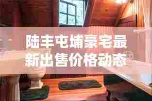 陆丰屯埔豪宅最新出售价格动态揭秘