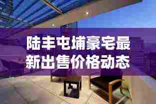 陆丰屯埔豪宅最新出售价格动态揭秘