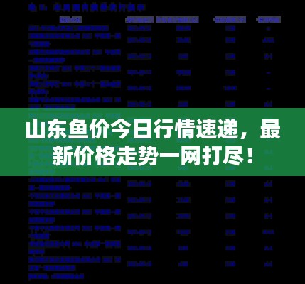 山东鱼价今日行情速递,最新价格走势一网打尽!