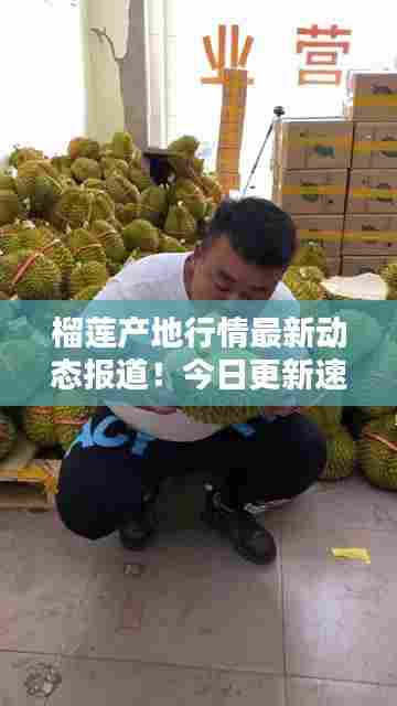 榴莲产地行情最新动态报道！今日更新速递