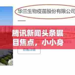 腾讯新闻头条瞩目焦点,小小身影引发关注热议