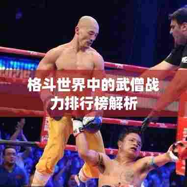 格斗世界中的武僧战力排行榜解析