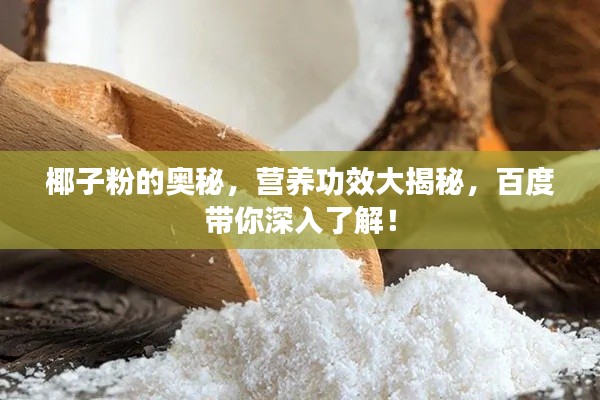 椰子粉的奥秘,营养功效大揭秘,百度带你深入了解!