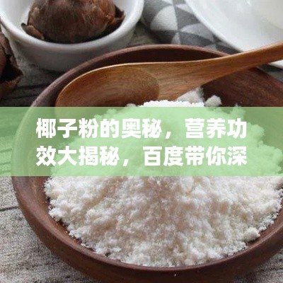 椰子粉的奥秘,营养功效大揭秘,百度带你深入了解!