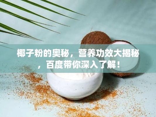椰子粉的奥秘,营养功效大揭秘,百度带你深入了解!