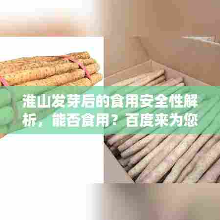 淮山发芽后的食用安全性解析，能否食用？百度来为您解答！