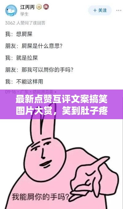 最新点赞互评文案搞笑图片大赏，笑到肚子疼，火速收藏！