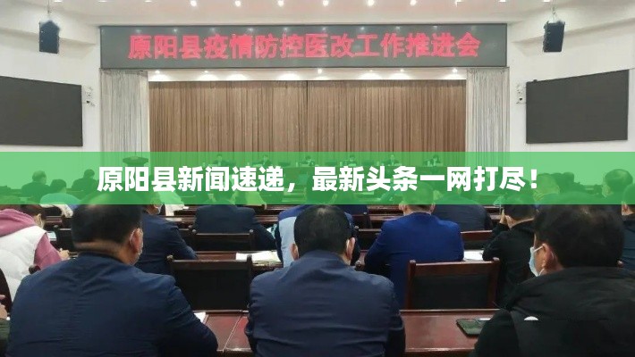 原阳县新闻速递，最新头条一网打尽！