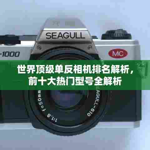 世界顶级单反相机排名解析,前十大热门型号全解析