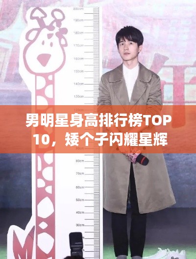 张三李四 第3页