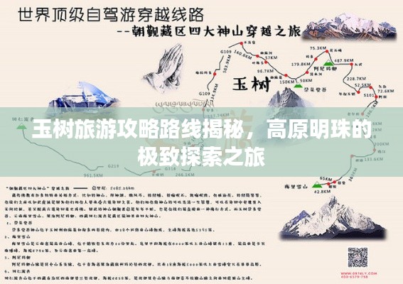 玉树旅游攻略路线揭秘，高原明珠的极致探索之旅