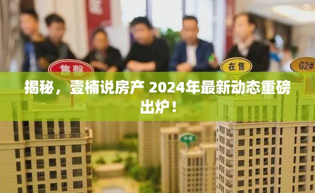 揭秘,壹楠说房产 2024年最新动态重磅出炉!