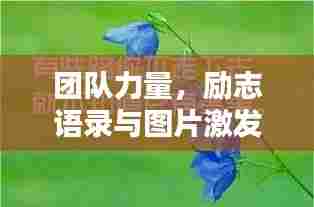 团队力量,励志语录与图片激发无限潜能