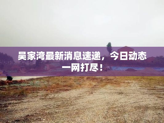 吴家湾最新消息速递,今日动态一网打尽!