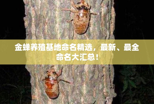 金蝉养殖基地命名精选,最新、最全命名大汇总!
