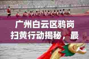 广州白云区鸦岗扫黄行动揭秘,最新动态与进展