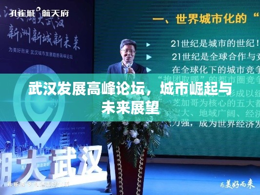 武汉发展高峰论坛,城市崛起与未来展望