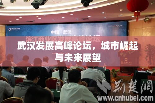 武汉发展高峰论坛,城市崛起与未来展望