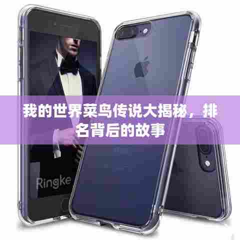 我的世界菜鸟传说大揭秘，排名背后的故事
