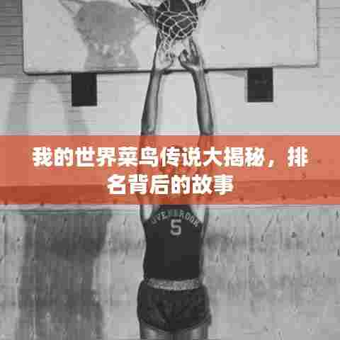 我的世界菜鸟传说大揭秘,排名背后的故事