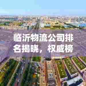 临沂物流公司排名揭晓,权威榜单,快速直达目的地!