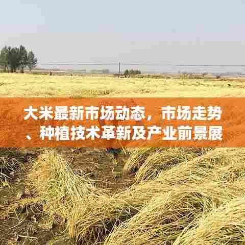 天各一方 第2页