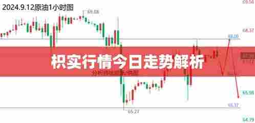 枳实行情今日走势解析