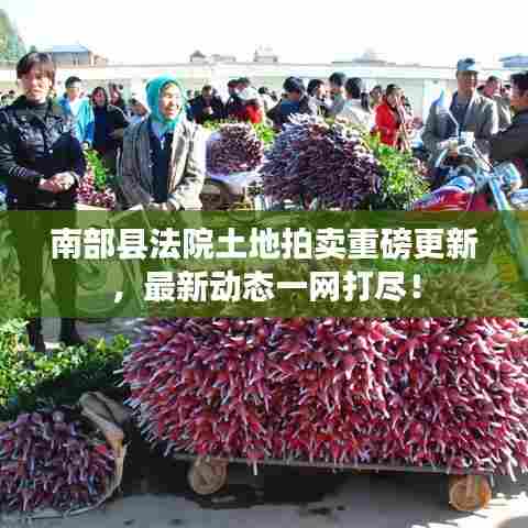 南部县法院土地拍卖重磅更新，最新动态一网打尽！