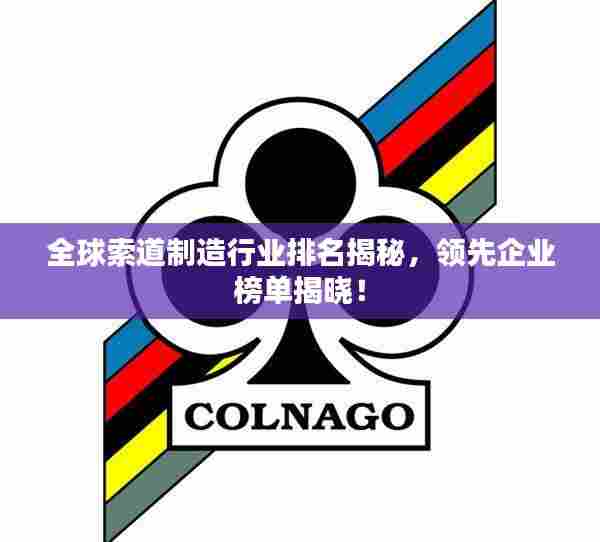 全球索道制造行业排名揭秘,领先企业榜单揭晓!